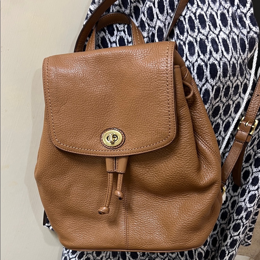 Coach Backpack F24385